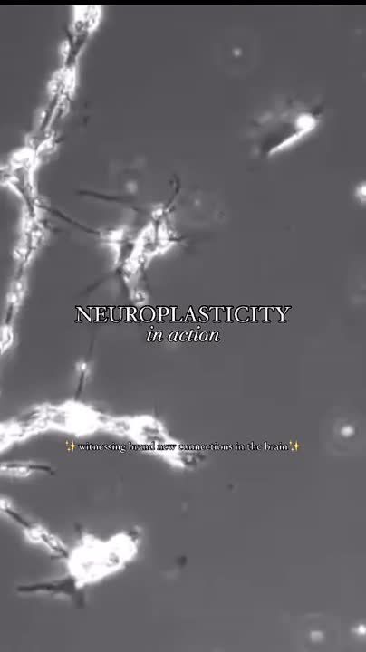 7 ������ �� �������������, ����� ���������� �� � �������