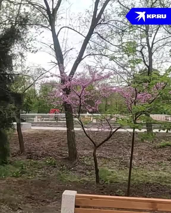 �������� ������� �� ���������