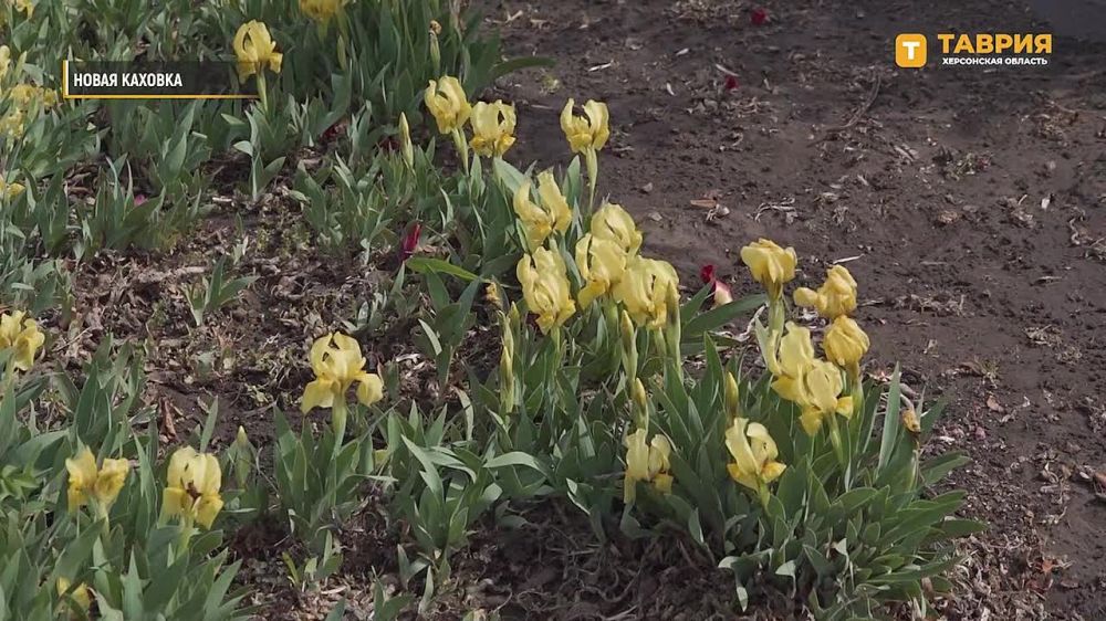 ���������� �������������� ������������� ������� ��������� �������� ��� ���������������� ������