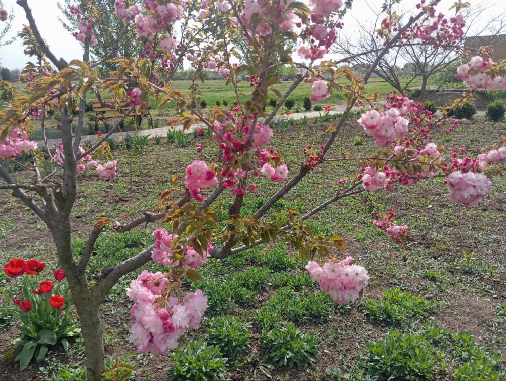 ������� ��� ��������� ��������� �������� �� ��������������� �������������