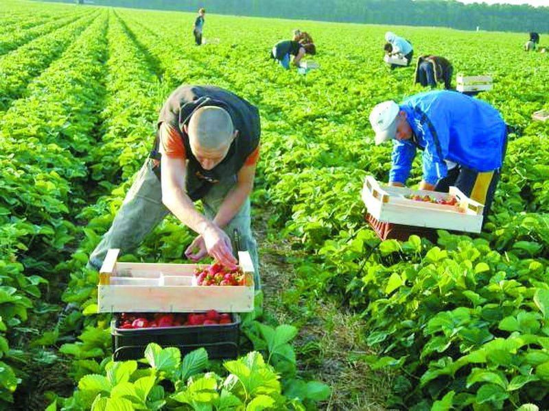 ������ ��������, ��� ��-�� ������ � ����������� �� ������� � ��� ������ ����� �������� �������� � ���