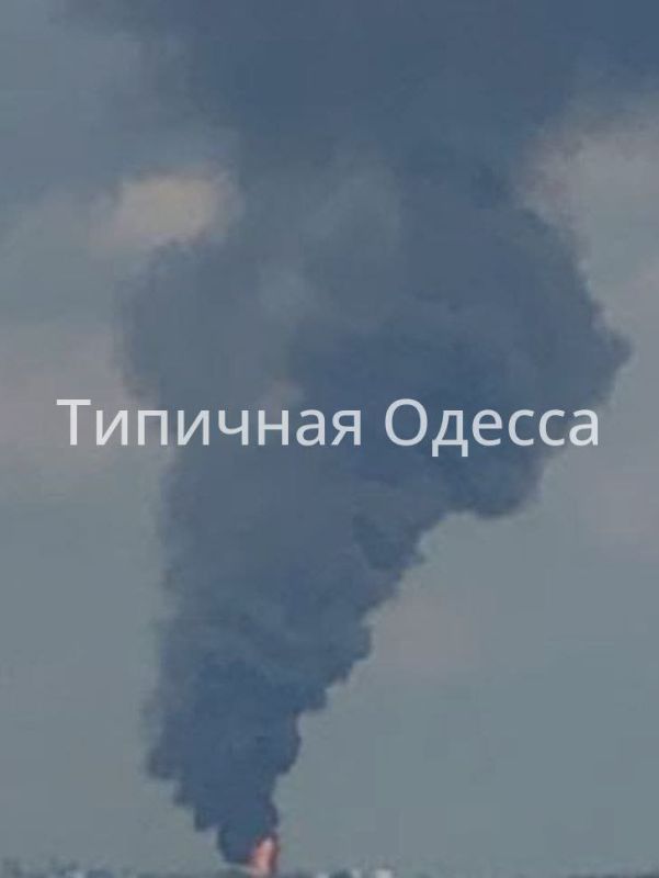 ��� ����