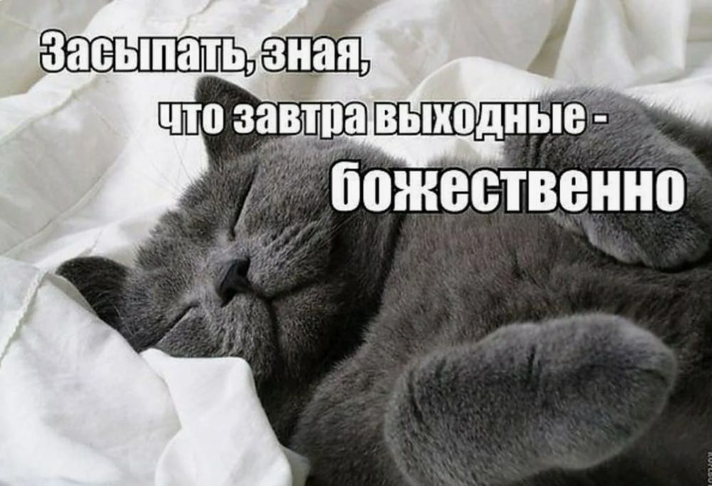 ������ �����, ������!. �� �� ������ �������� �������� �������� ���, � ���� ��� ����, � ������� ��� �� ������, ��� ���� � �������� ���� �� �������� ��������� �� ������ "�������� ����������"