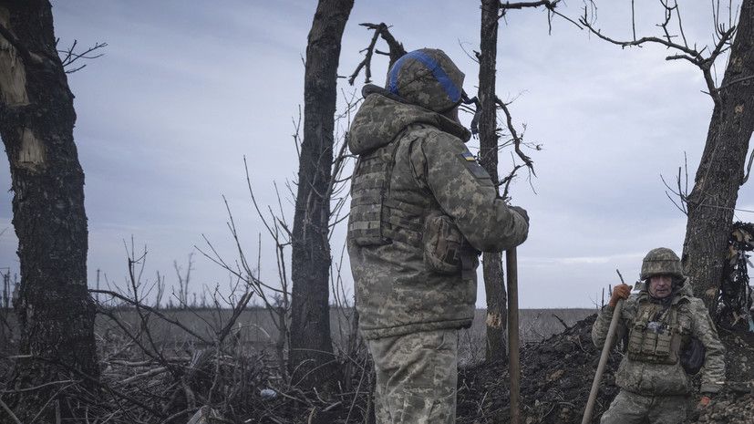 ���������: ��� ����������� ������� �� ������ ������ ������ �� ����� � �������