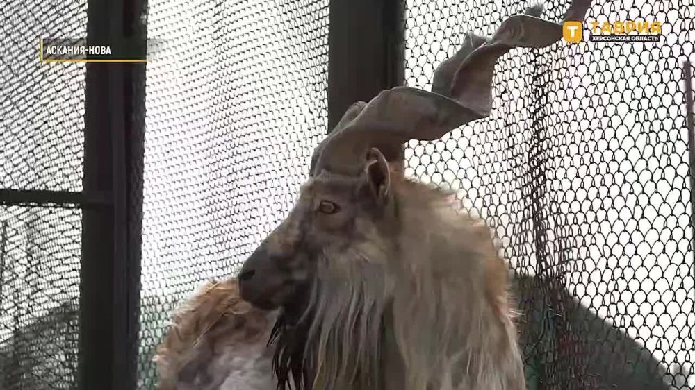 ���������� "�������-����" ��������� � ������� �������������� ������