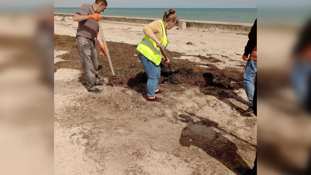 ���� � ��������� ���� ������� �� ����������