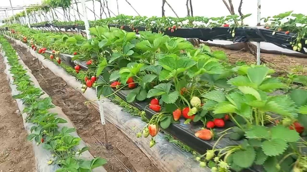 ������������� �������� � ������ � ���������