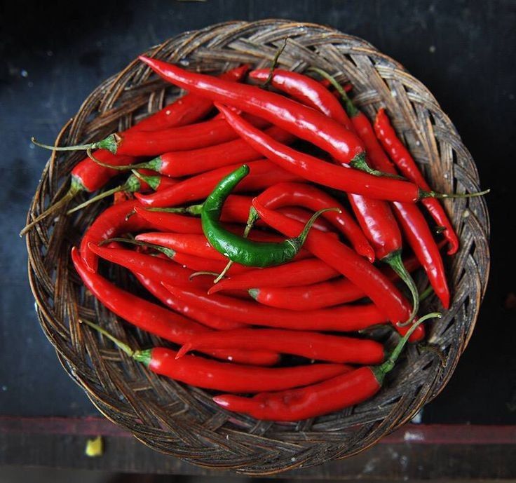 ������ ���������� �����