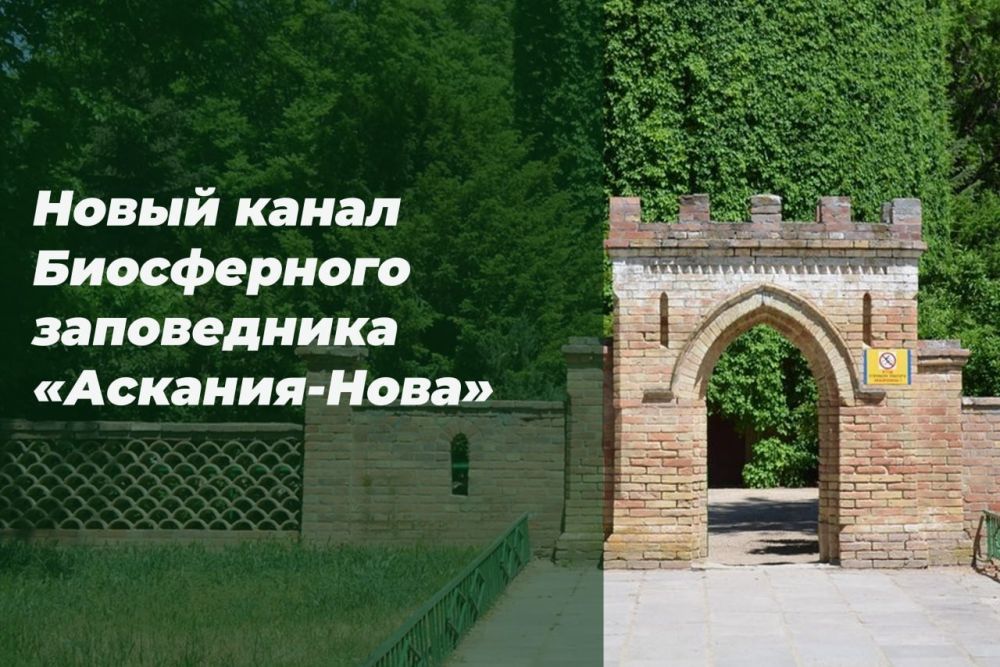 ����� ��������-����� ����������� ����������� ��������-����