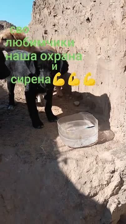 ��� ����� ������ �������� ����� ������ �� ���������