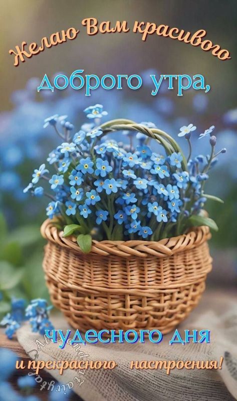 ������ ����. ������� ����������� �� ���� ����� ������ ����������� � ������� ����� ���� ����, ���� � ������ ������ ����������. ��� �������. ����������� �� +7 ����� �� +15 ���