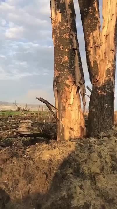 ������ ����� ������� �� ������ ���