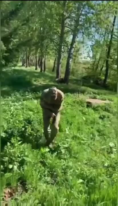 ��� ������: ����������� �������, �������