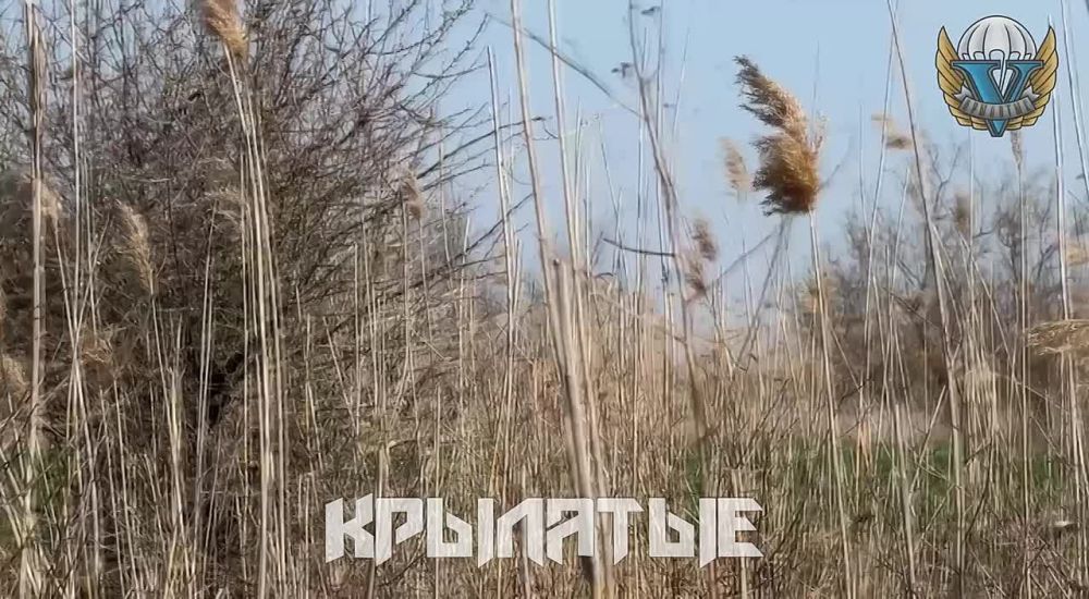 ���������� �����������. ������ 120-�� ��� 2�9 �����-ѻ ������� ������ ������������� ����� ��������� �������������� ����� ��� �� ������ ������ ������