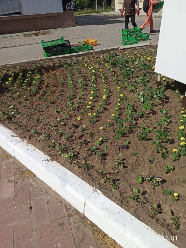 � ����� ������� �������� �������