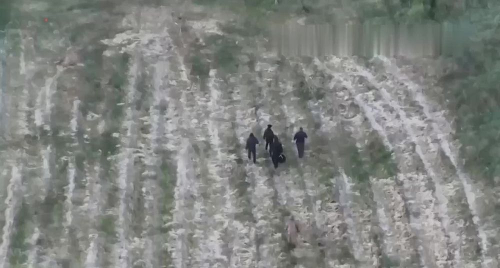 5 ������� ������ ������� ������� � ������� �� ������� � ������� � ������������� ��������, ������� � ������� �����