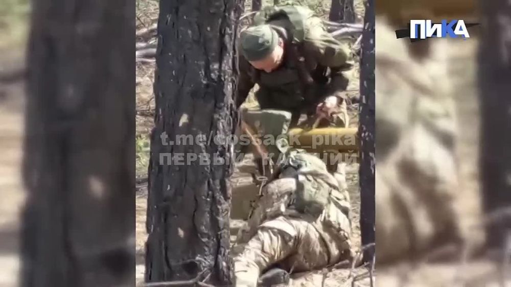 #���������. ����������� ������ ���������� ��������� ����� ���������� �������� �� ���������� ����������� �����-������ �������...