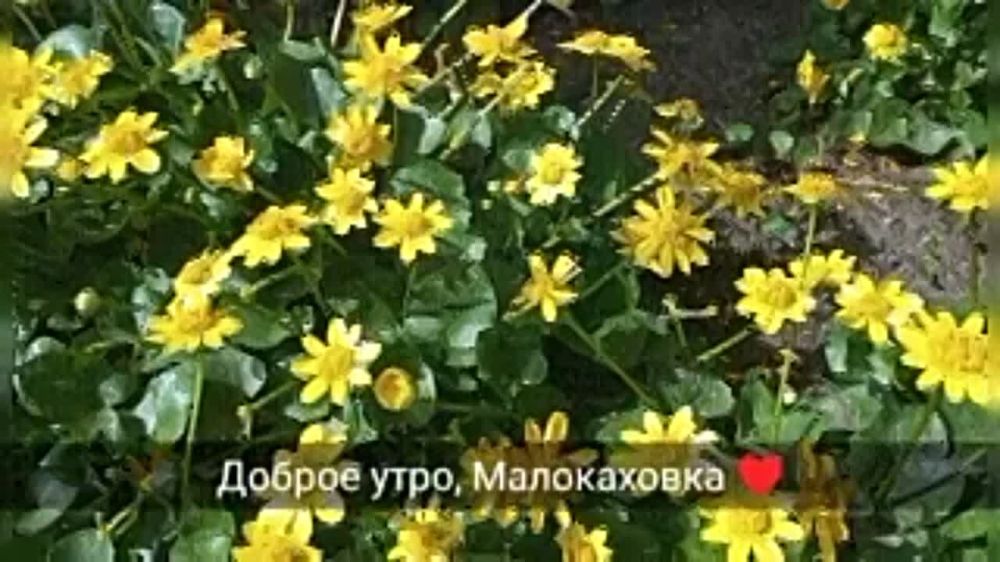 � ������ �����, �����������!