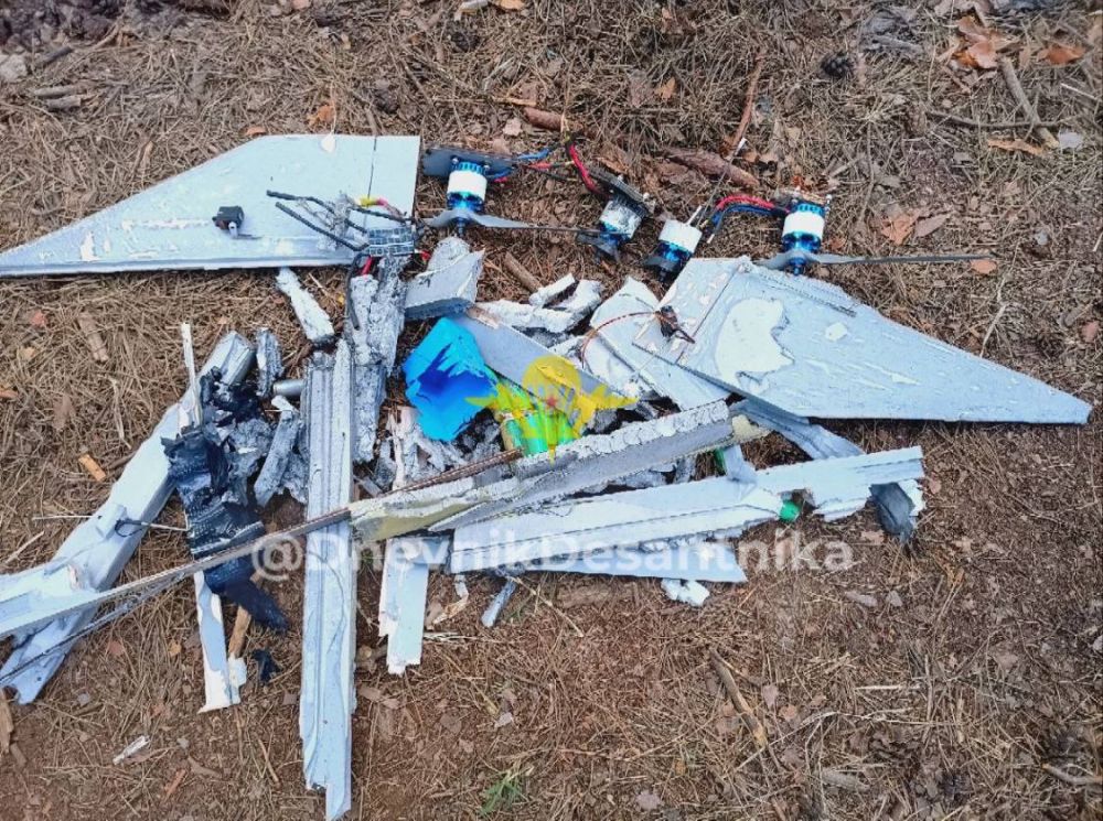 ���������� �����������