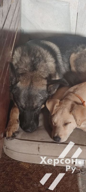 ����������, ����� � ����������)