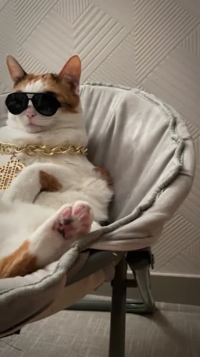 ���� �������� ������� � ������� ��������!