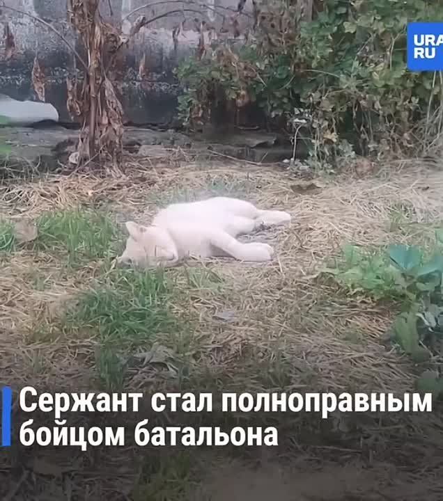 ��������� ������ ����� 10 ��, ����� ��������� � ������ �����-������, ������� ��� �������