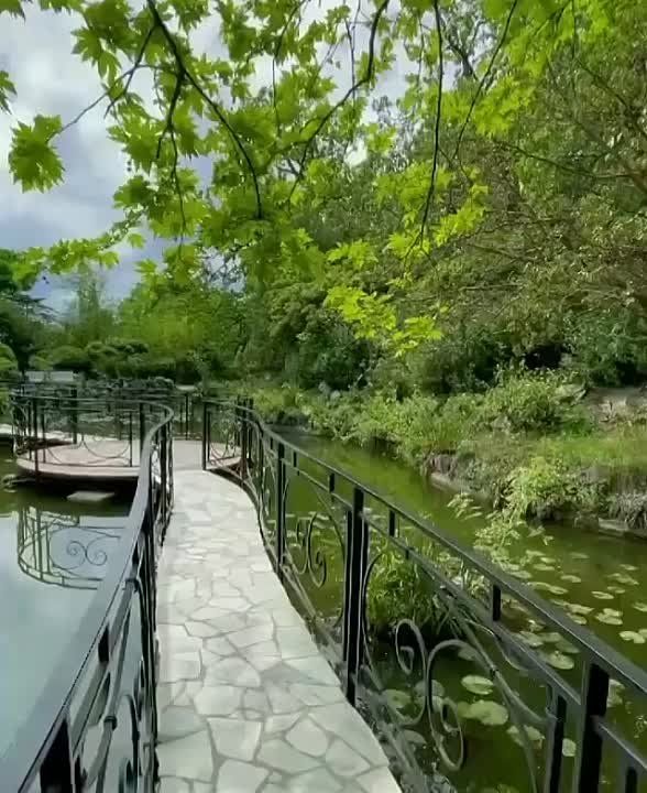 ��������� ���� - ���� �� ������� �������� ������� ����� � ����� �����