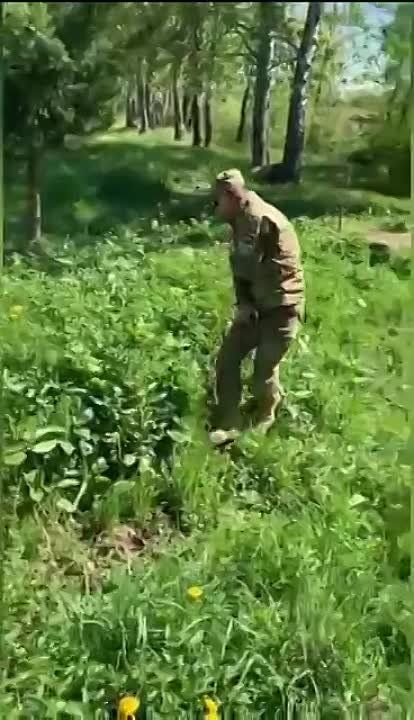 ��������� �������� � ���������� �� �������