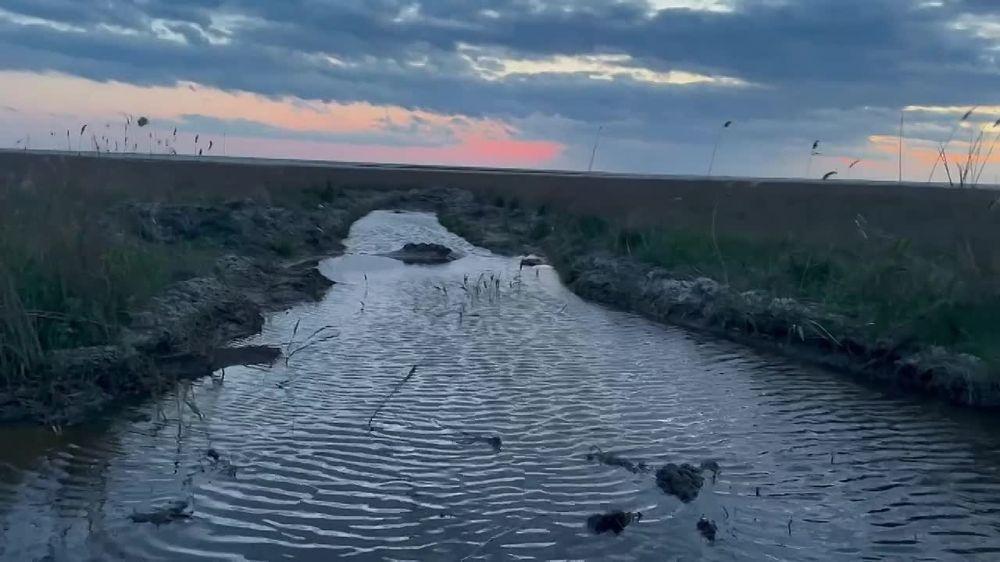 �� ������������ ������� ������������� ������ �������� - ���������� ����� ��������� ����������� �� ������ ����