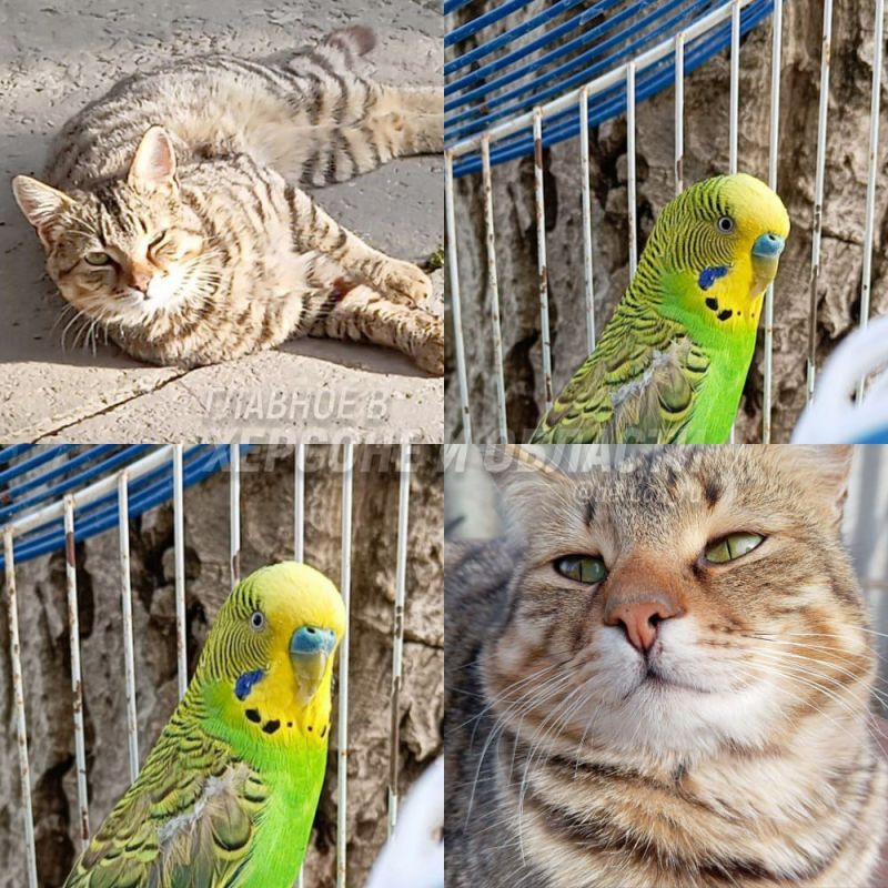 �������� ���� � �������� ���� � ����� ������ ������� ����� �������