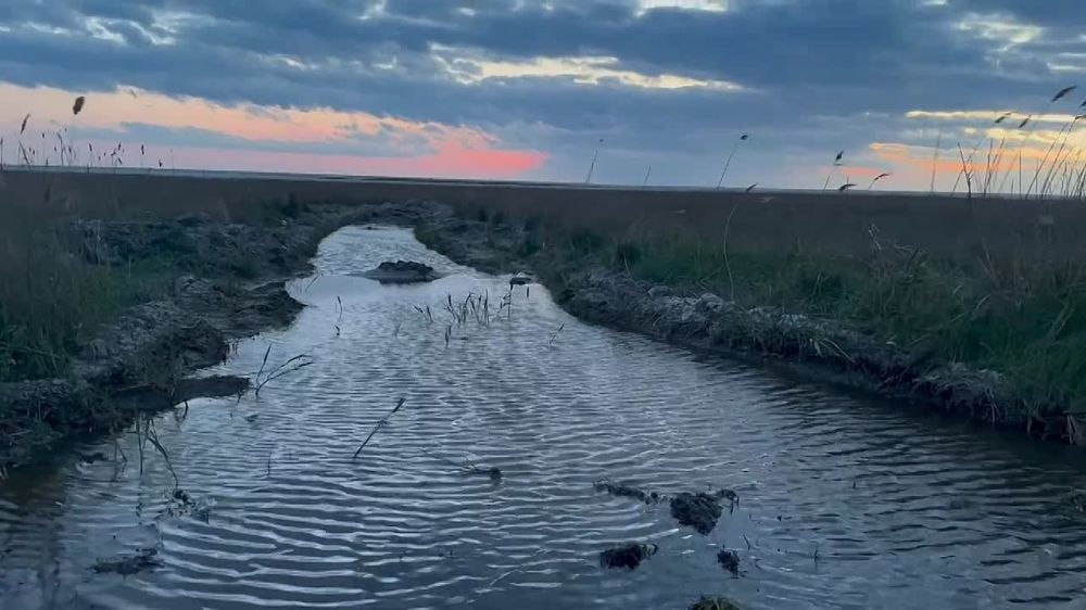 ��-�� �������� ����� ������� ������������� ������ �������� - ���������� ����� �������� ���������