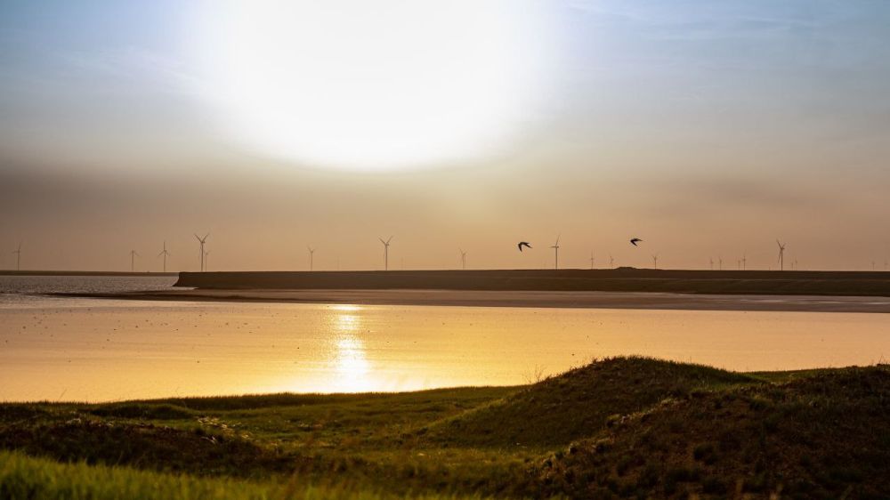 �������� ������: ���������� �������. ����������, ������, ����