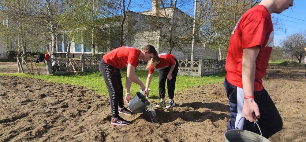 � ����������� ������������ ������ �������� ������� ����� �������� 100 �����