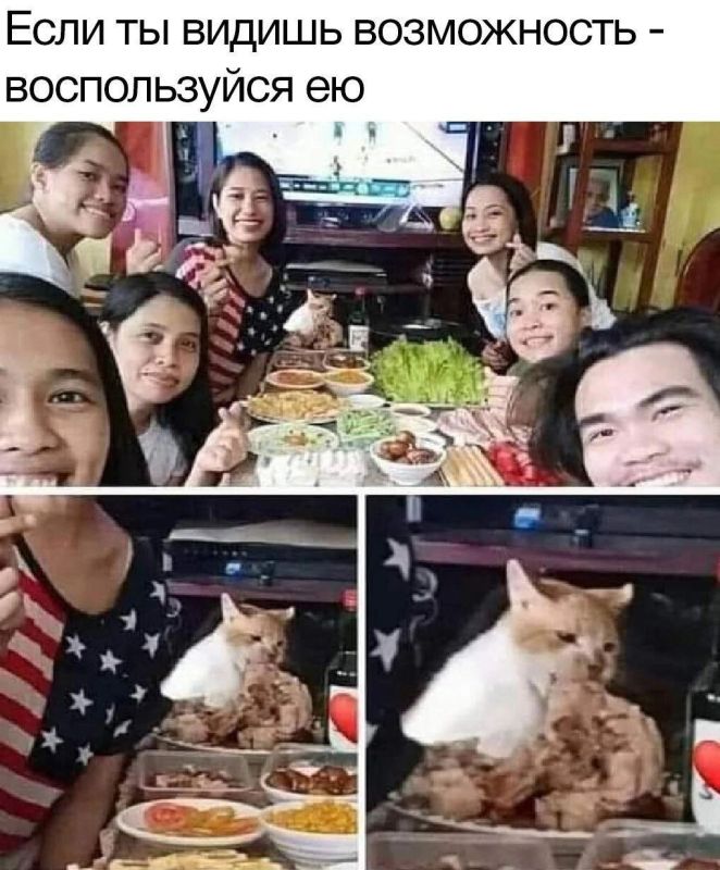 #������������