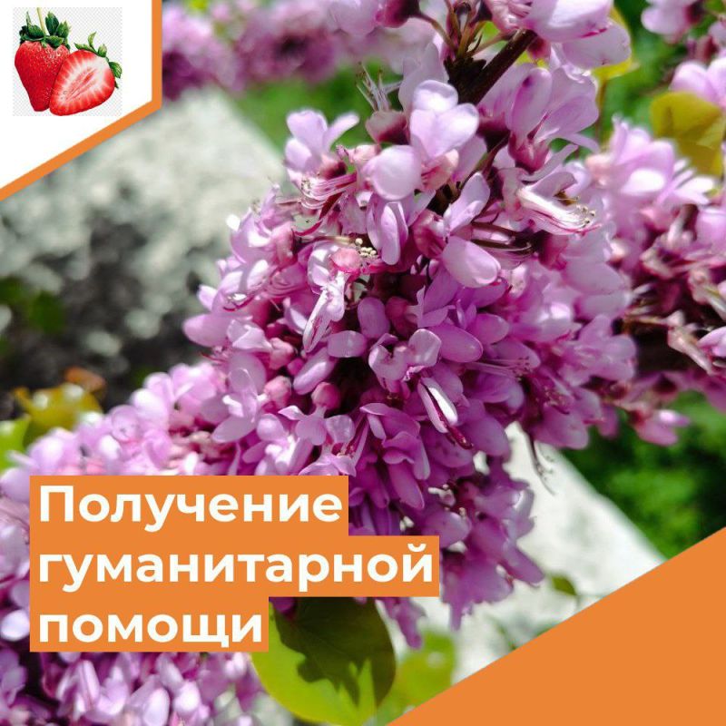 ��������� ������ �����������!