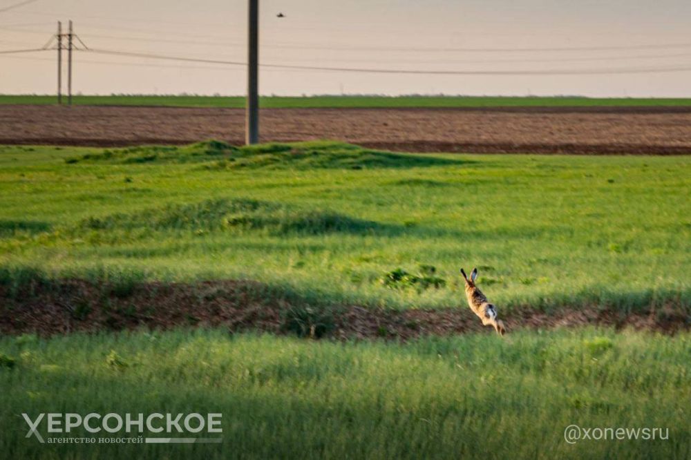 ����������! ����� �������� ��������� ���� ���������� �������