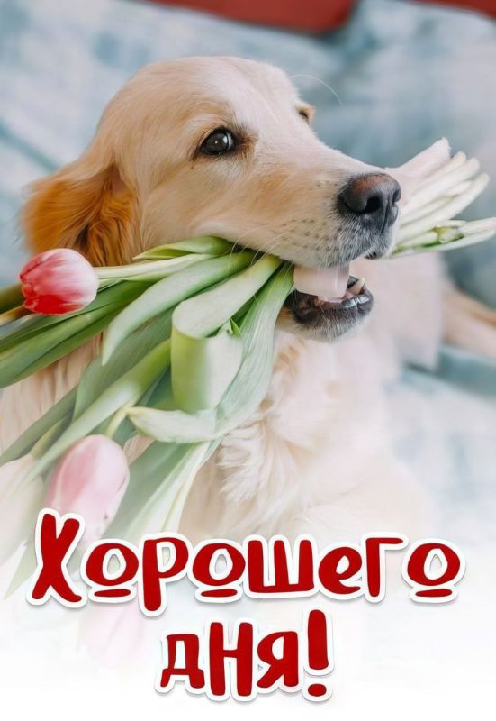 ������ ����. ������� � ������� �� ���������� ����� ��� ����� ������ �������� ������. ������ ������� ����� ���������� ��� �� ����������� ����, �� ���� �� �������� � ����������� �� ������. ����������� �� +9 ����� �� +14 ���