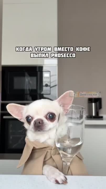 ������ ����!