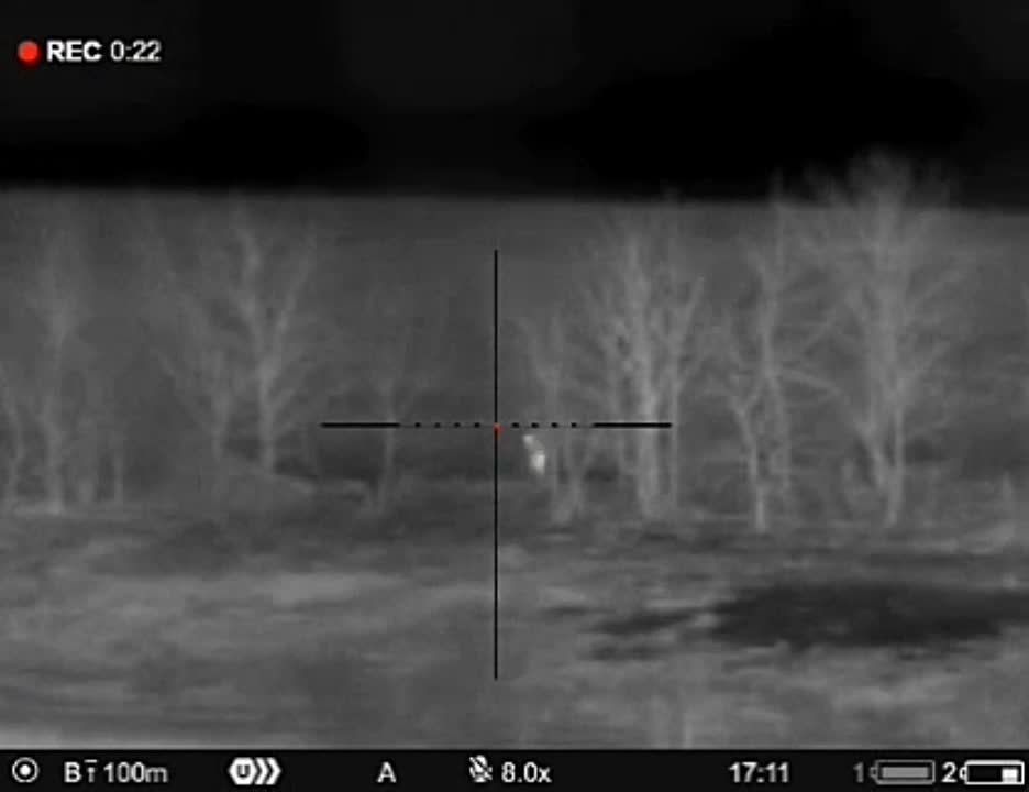 ������ �������� 3-� �������������� ������� �� �� �� ��������������� �����������