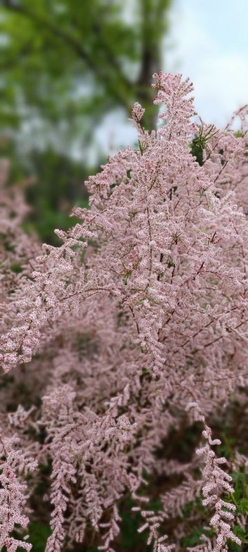 � ������ ����� �����������!