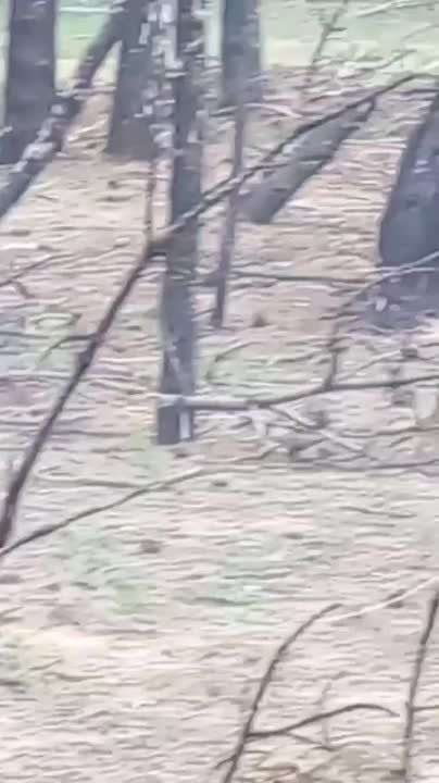 ����� "�����": ������� ������� "�����" ���������� ��� ������������ ��� � ������������� � ����������� ����