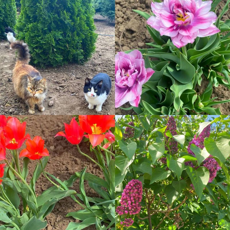 ���������� ������ � ���������� � � �������� ����� ��������� ����� ����������� ������ � ��������� ����������