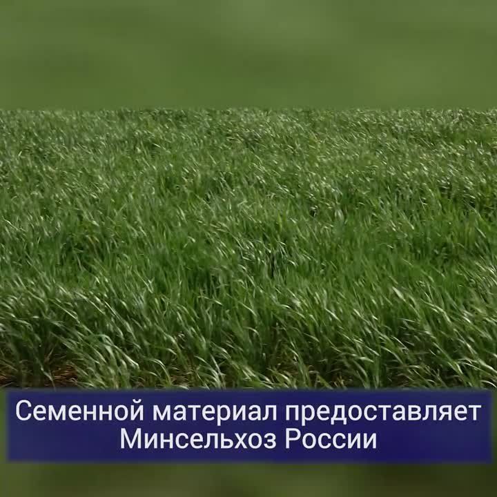 ������ ����������: ��������� ������� ��������� ��� ��������