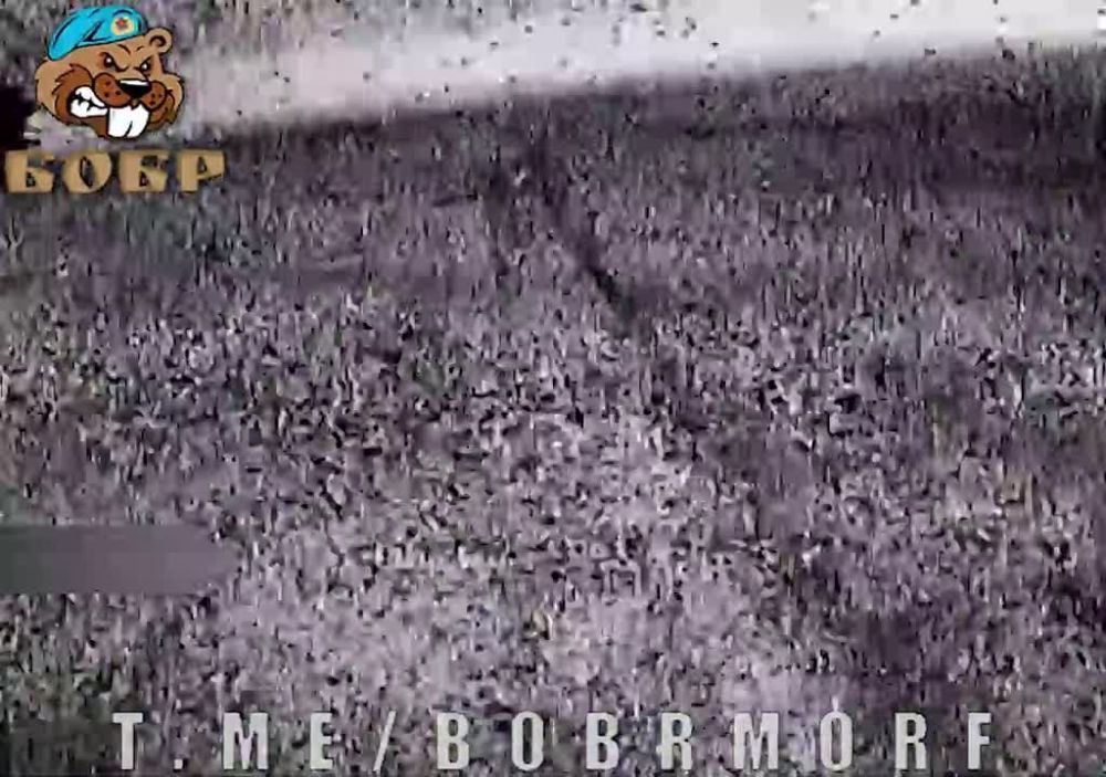 ������ � �����!. ��������-����� ���������� �������