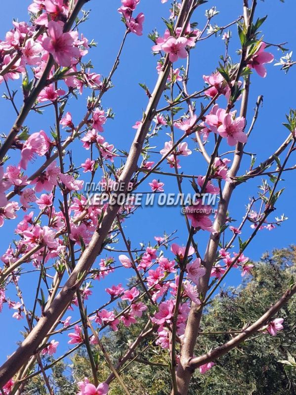 ������� � ������ ���������� � � ��������� ����� ���������� ����� �� �����