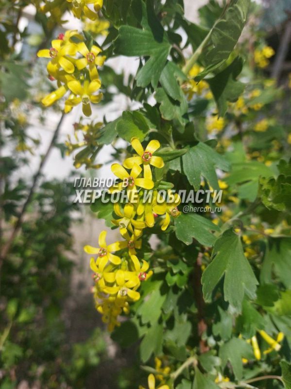 ������� � ������ ���������� � � ��������� ����� ���������� ����� �� �����