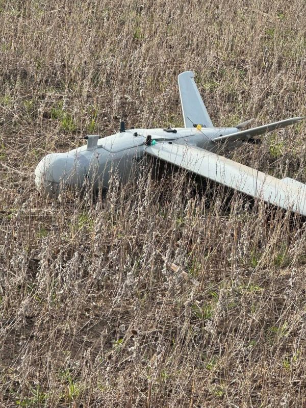 ����� �������: ���� ������-100 �1584 ��� ���� � ���������� �������