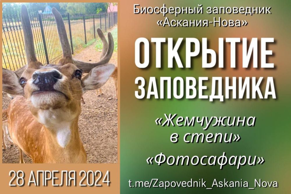 �������� �������������� ������ 2024 � ���������� ����������� ��������-����