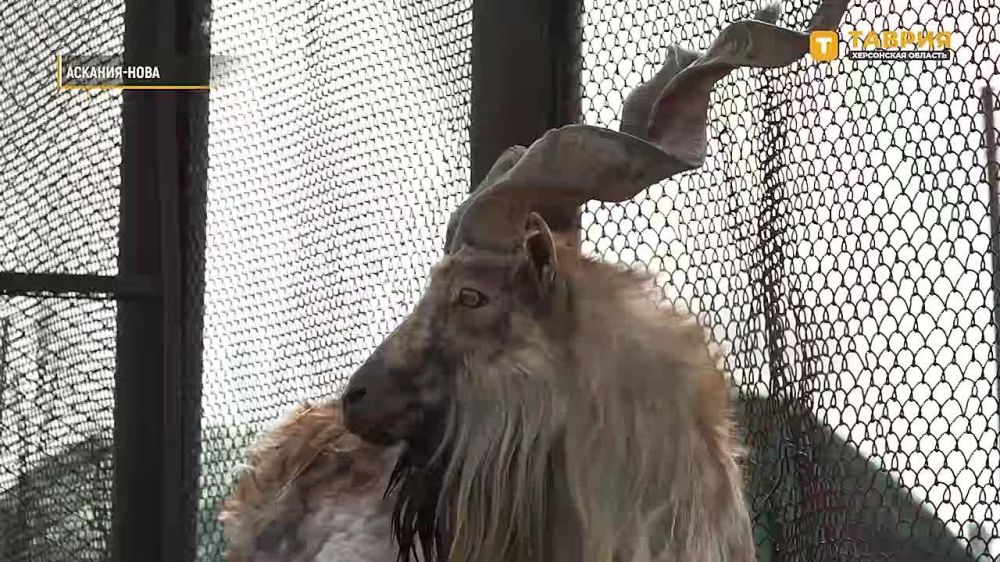 ���� �������� ������ � ���������� ����������� ��������-����