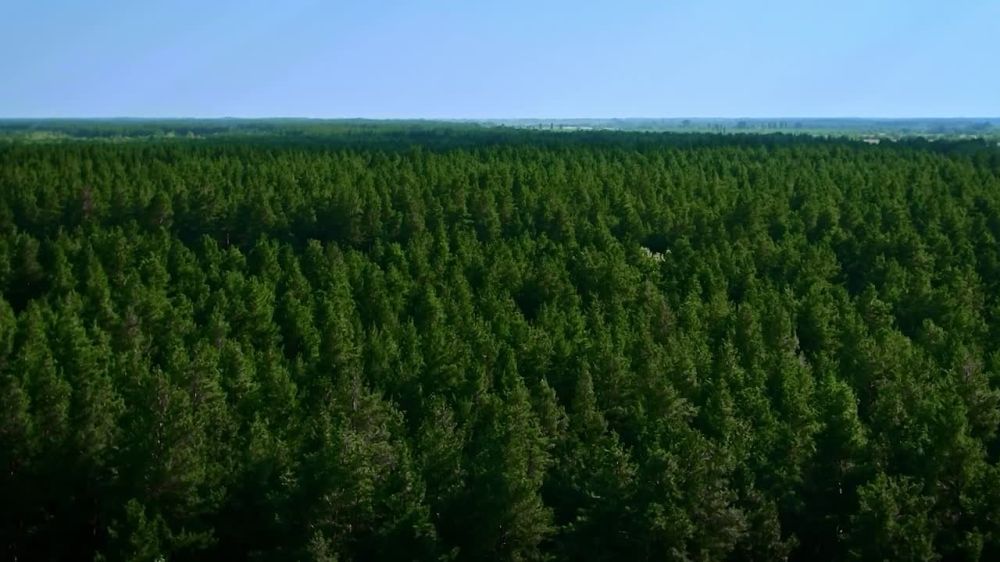 ���� ����������� ���� ����� ������� #������ � ����������� �� ���������� �������